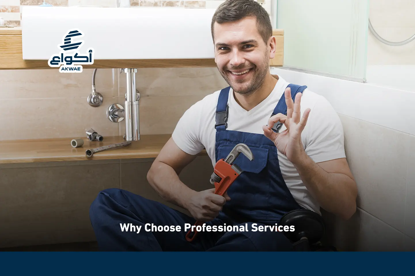 Professional Services